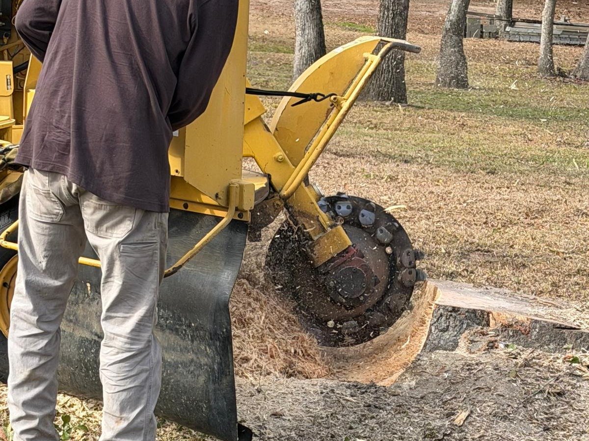 El Costeño Tree Service LLC